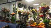 Autumn Window Display