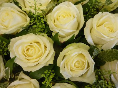 Heart full of White roses