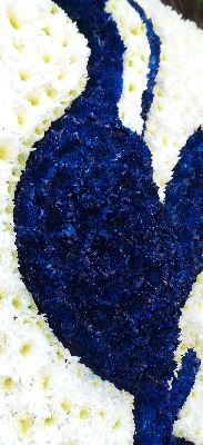 Tottenham Hotspurs Funeral Tribute