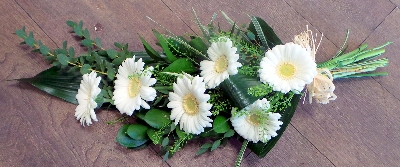 6 White Gerbera's