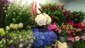SUMMER FLOWERS