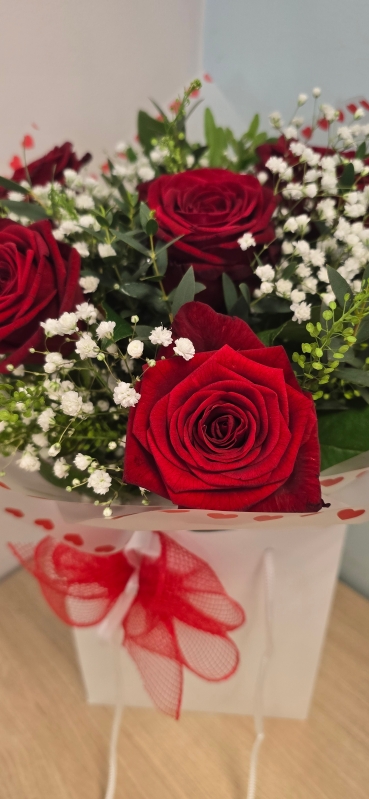 6  Red Roses Aqua Packed