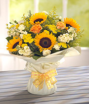 Sunflower Sensation