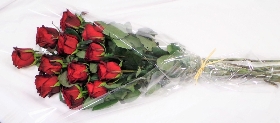 Just Roses