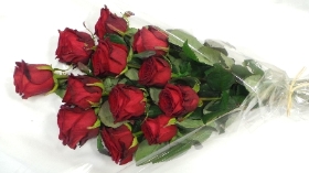 Just Roses