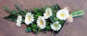 6 White Gerbera's