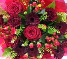 Red Night