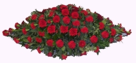 Carnation  Coffin Spray