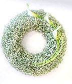 Gypsophila  Wreath
