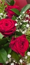 12 Red Roses with Gypsophlia