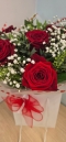 6  Red Roses Aqua Packed