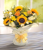 Sunflower Sensation