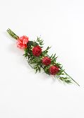 Three Red Roses