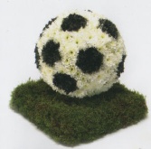 Football on grass