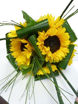 Mad about Sunflowers